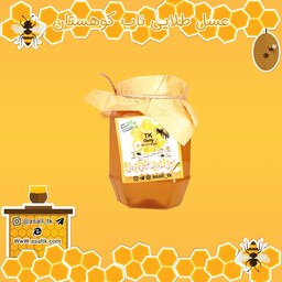 عسل طبیعی خالص بدون افزودنی پت یک کیلویی مازندران