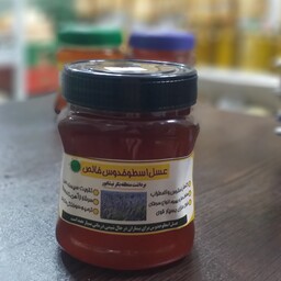 عسل اسطوخدوس طبیعی و اورگانیک، برداشت منطقه بکر نیشابور( مستقیم از زنبوردار)