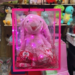 ولنتاین کادویی سوپرایزی عروسک خرگوش بگ شفاف پوشال ریسه چراغدار پاستیل
