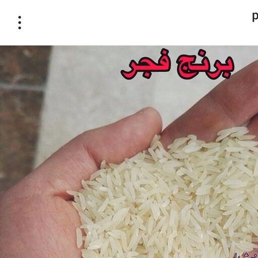 برنج فجردرجه یک به شرط پخت و یک دست بودن 