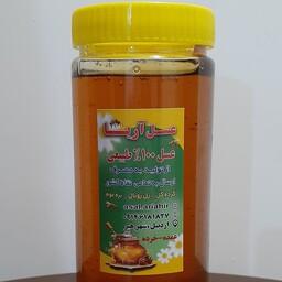 عسل طبیعی چهل گیاه (2 کیلویی) ارسال رایگان وفوری 