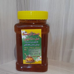 عسل طبیعی شبدر (3 کیلویی) ارسال رایگان وفوری 