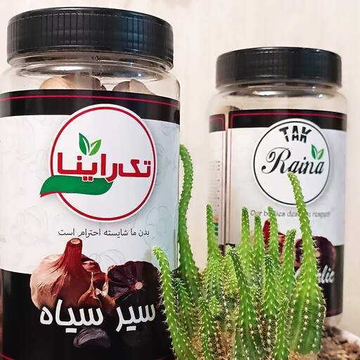 سیر سیاه تک راینا (دارای سیب سلامت) در بسته بندی 250 گرمی