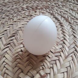 تخم مرغ پلاستیکی