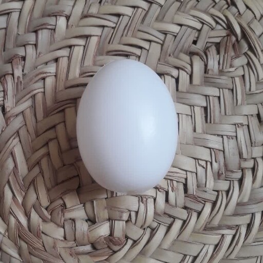 تخم مرغ پلاستیکی