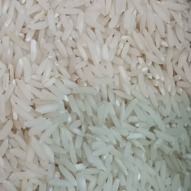 برنج طارم هاشمی گیلان کیسه 10کیلویی 