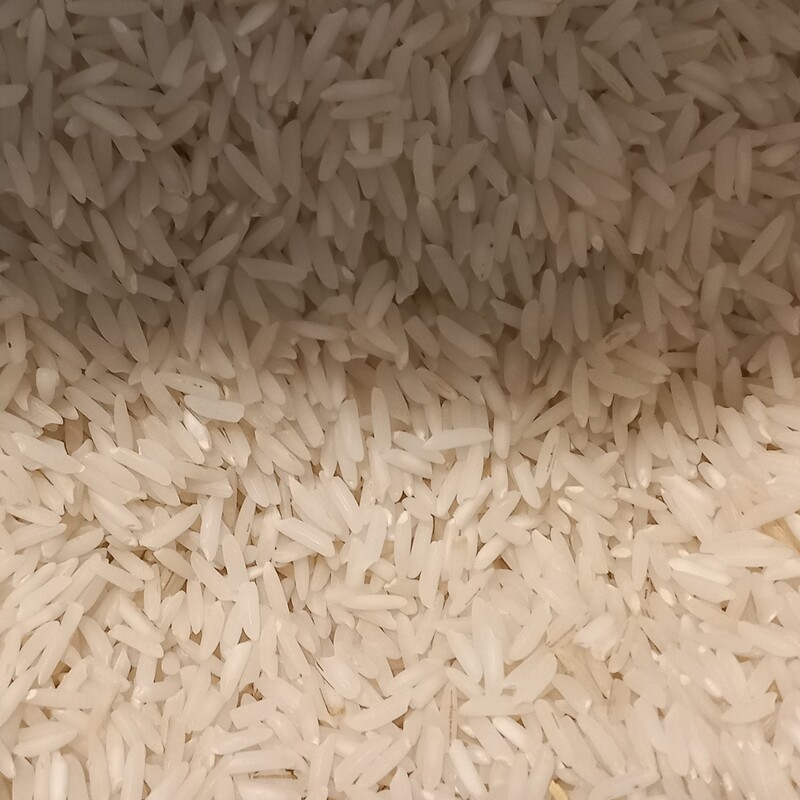 برنج طارم هاشمی گیلان کیسه 10کیلویی 
