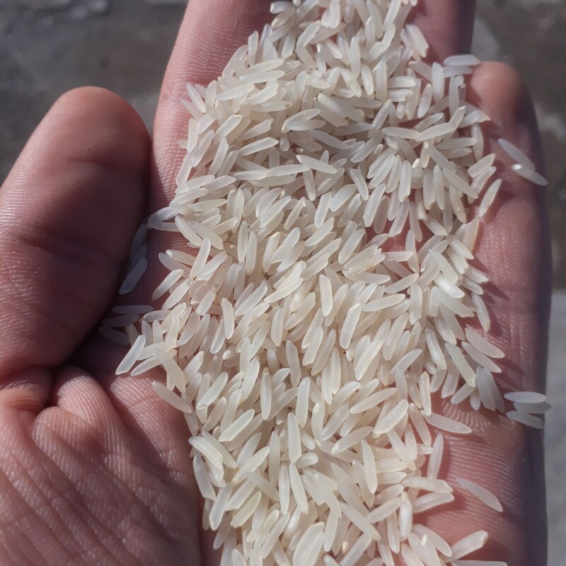 برنج فجر کیلویی85 هزارتومان سورت شده درجه یک