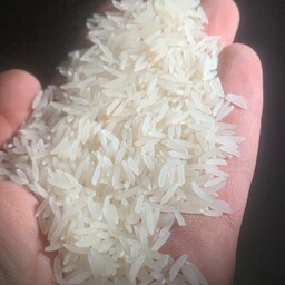برنج فجر ایرانی سورت شده درجه یک کیلویی 61 هزارتومان 