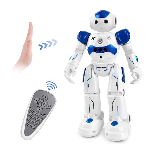 ربات کنترلی مدل  CADY ROBOT R2