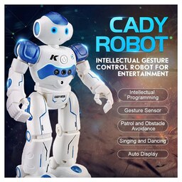 ربات کنترلی مدل  CADY ROBOT R2