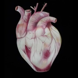 تابلو نقاشی قلب مدادرنگ