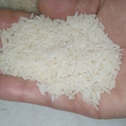 برنج طارم هاشمی . بسته 10 کیلویی
