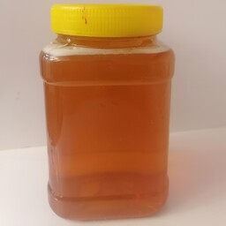عسل درجه یک کنار  مخصوص شیراز  وزن یک کیلیویی 