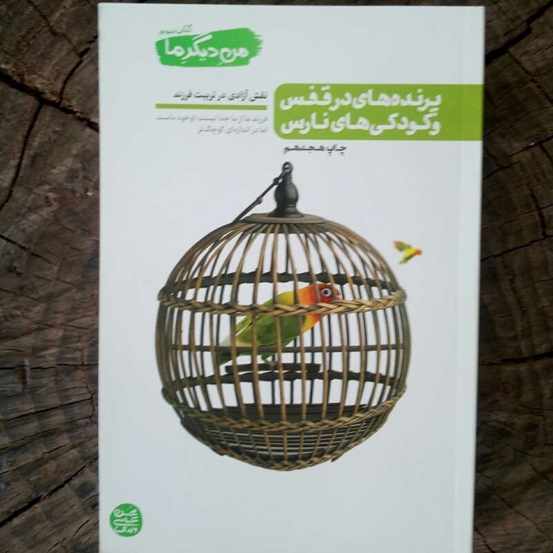مجموعه من دیگرما (جلد سوم) کتاب پرنده های در قفس و کودکی های نارس به قلم محسن عباسی ولدی از انتشارات آیین فطرت