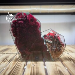 پکیج ویژه ولنتاین - گل رز هلندی، شکلات و عروسک