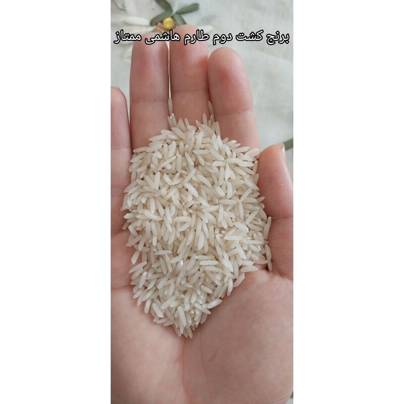 برنج کشت دوم طارم هاشمی معطر 10 کیلویی ارسال رایگان از شهر برنج شمال.