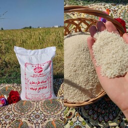 برنج نیم دانه فجر 10 کیلویی با ارسال رایگان از شهر برنج شمال