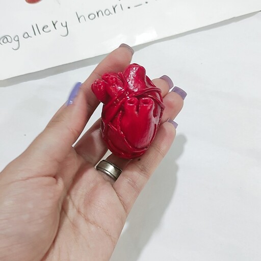 جاکلیدی جاسوییچی قلب آناتومی قلب زیبا ولنتاین روز عشق ارسال رایگان برای خرید بالا300تومان از غرفه