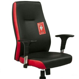 صندلی اداری  مدل 2060( مستقیم از کارخانه رایاناسیستم)