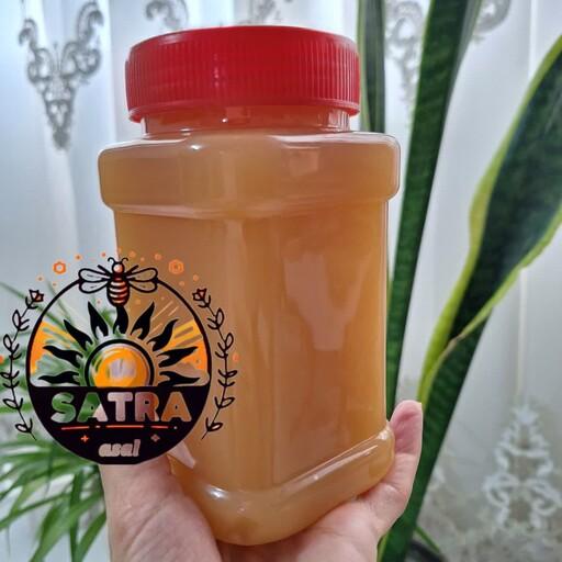 عسل غیر تغذیه ای و ارگانیک کنجدکنار (محصول مزارع کنجد بهبهان خوزستان) 1000 گرم