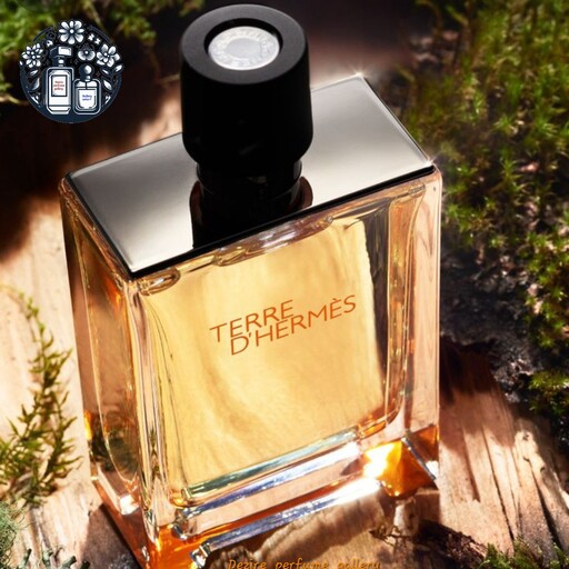 عطر و ادکلن مردانه هرمس تق هرمس پرفیوم Hermes Terre d Hermes Parfum for men

