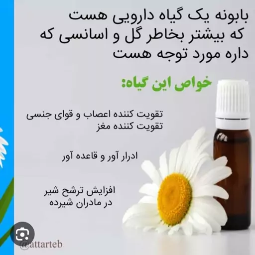 بابونه خالص تسکین دهنده درد قائدگی ،تقویت کننده مغز و معده 125 گرمی مخصوص طراوت 