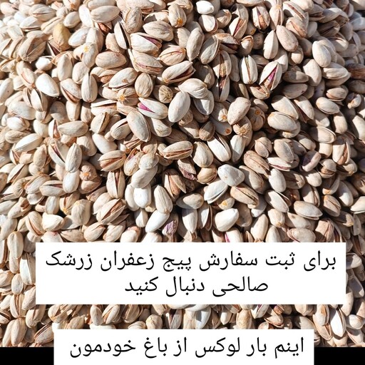 پسته  500 گرمی 