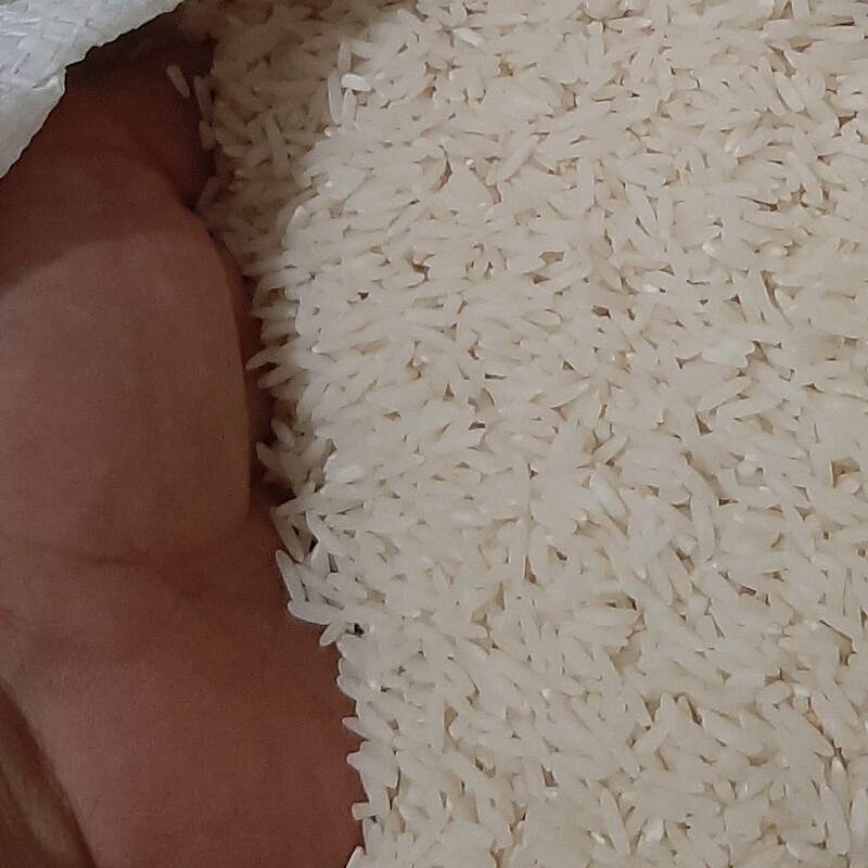 برنج کشت دوم اعیونی سفارشی مازندران ، گونی 20 کیلویی