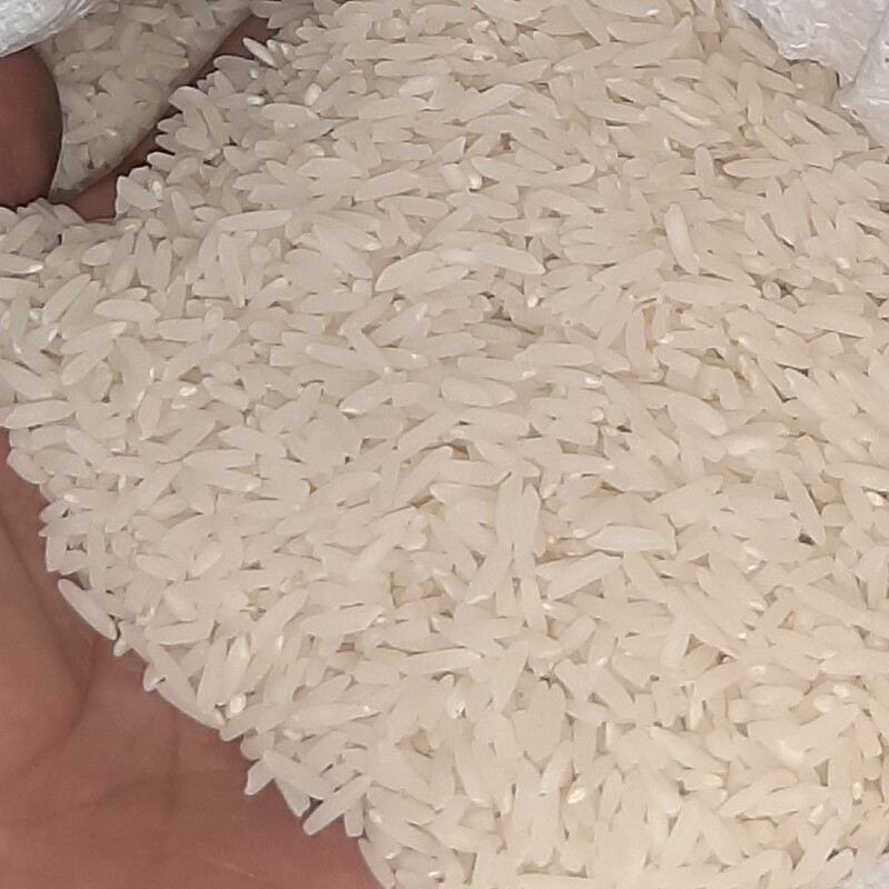 برنج طارم هاشمی کشت اول سفارشی  مازندران گونی 20 کیلویی
