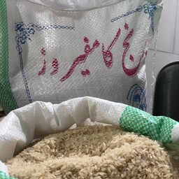 برنج کامفیروزی معطر 1 کیلوگرمی