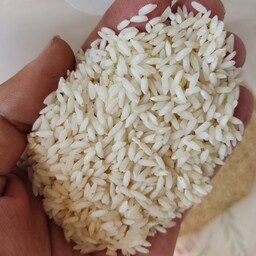 برنج عنبربو خوزستان دستچین شده سفید عطری