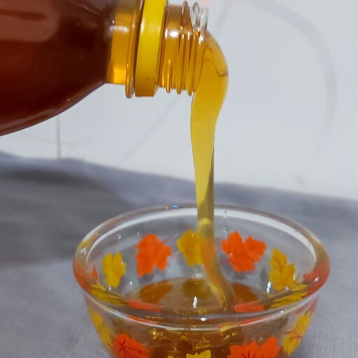 عسل طبیعی، کوهی خام ارگانیک،500 گرمی،بدون افزودن شکر،مستقیم از زنبور دار
