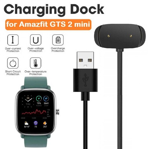 استند شارژ ساعت Amazfit GTS 2 mini مدل SFP-102