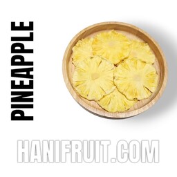 میوه خشک آناناس طبیعی (100گرم) هانی فروت