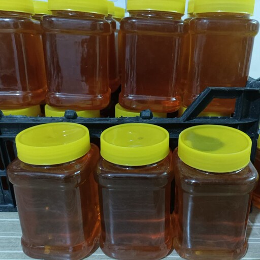 عسل خارشتر و یونجه یک کیلویی و طبیعی درمانی
