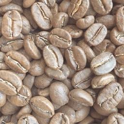 دانه قهوه عربیکا کلمبیا سوپریمو 1 کیلوارسال رایگان