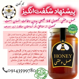 عسل وحشی خام ارگانیک نیم کیلویی ساکارز زیر 1درصد(مستقیم از زنبوردار)ارسال رایگان