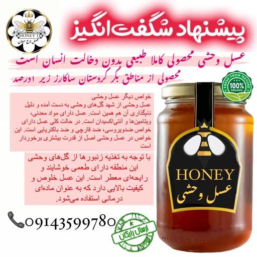 عسل وحشی خام ارگانیک 1 کیلویی ساکارز زیر 1درصد(مستقیم از زنبوردار)ارسال رایگان