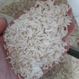 برنج هاشمی گیلان پارساله 