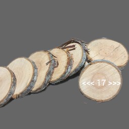 چوب برش کالباسی در قطر های 20 و 17 با ارتفاع های 1 سانتی متری