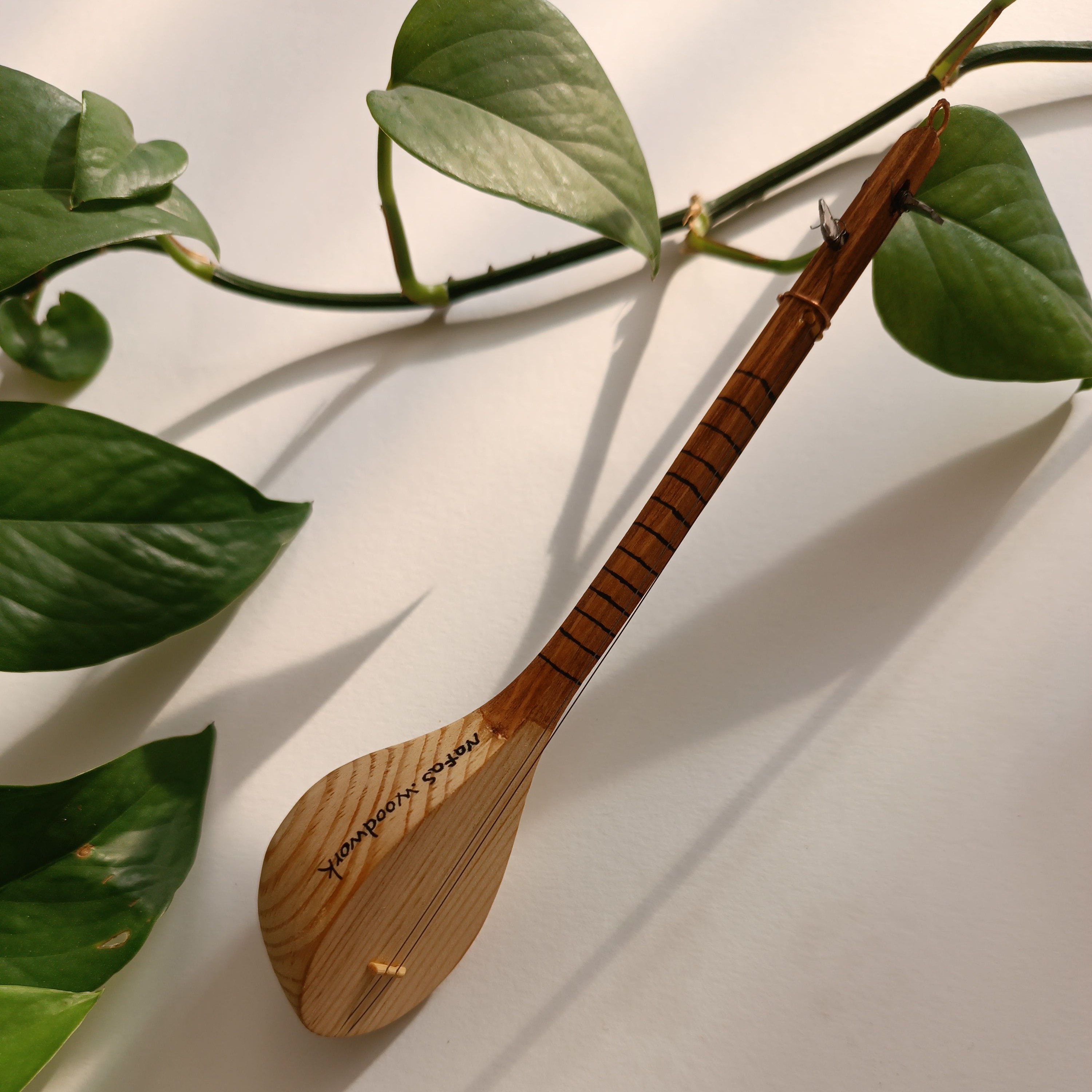 اموزش زینت کاری های دوتار خراسان