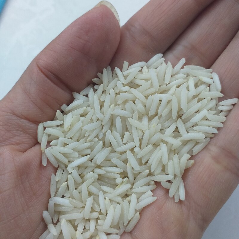 برنج فجر گلچین معطر شمال. 10کیلویی. ارسال با باربری هزینه ارسال پس کرایه با خریدار.