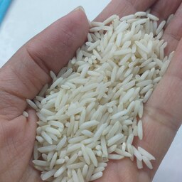 برنج فجر گلچین معطر شمال. 10کیلویی. ارسال با باربری هزینه ارسال پس کرایه با خریدار.