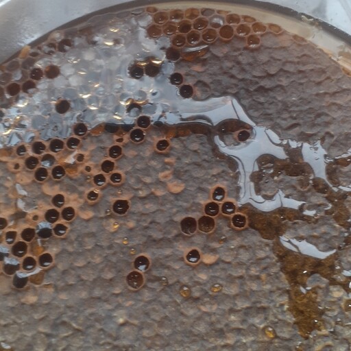 موم طبیعی عسل موم خودبافت زنبور عسل گلچین شده از مومها 