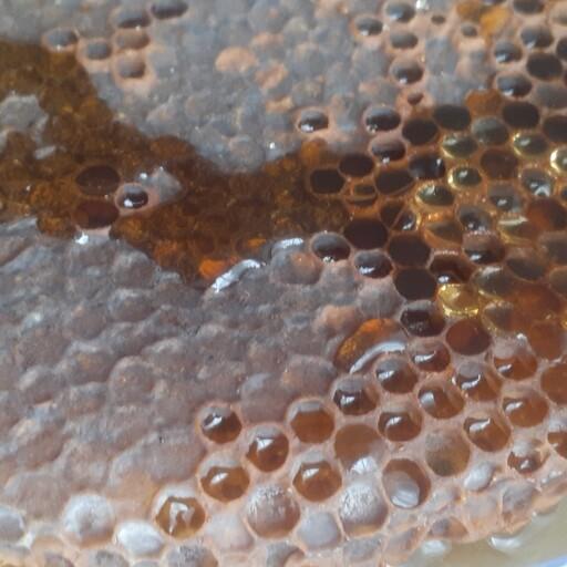 موم طبیعی عسل موم خودبافت زنبور عسل گلچین شده از مومها 
