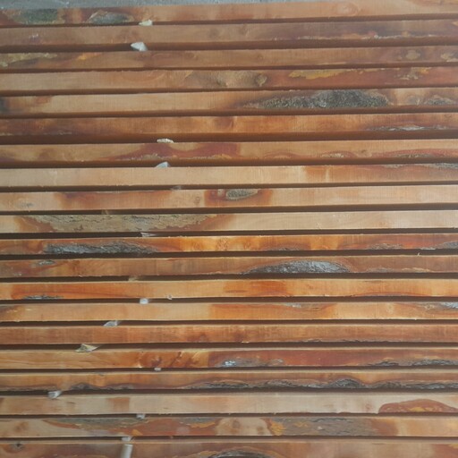 انواع چوب راش و توسکا رام بری شده برای تولید انواع مصنوعات چوبی