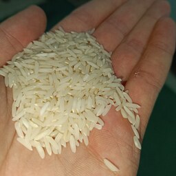 برنج طارم مازندران  از کشاورز (بوجاری شده)