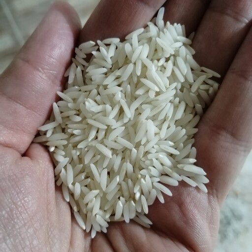 برنج  درجه یک  هاشمی 1402(5 کیلویی) 