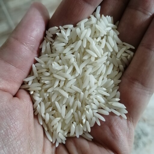  برنج درجه یک  هاشمی 1402 (10 کیلویی) 